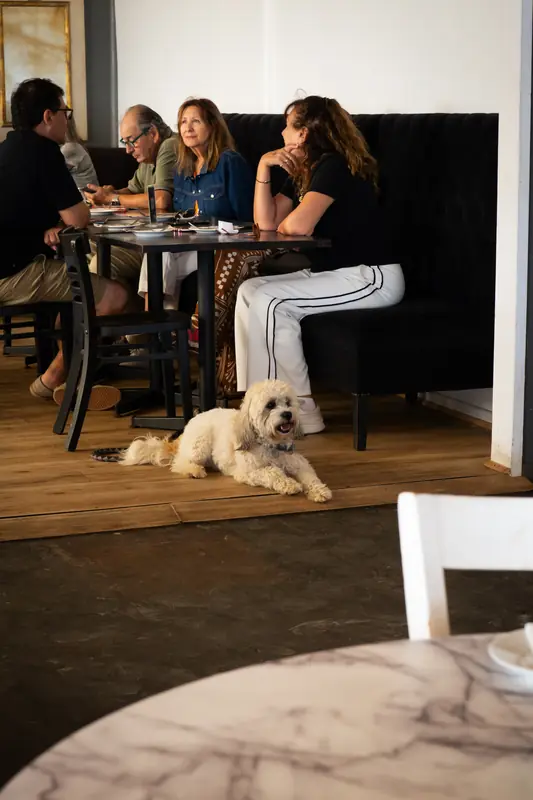 Familias almorzando